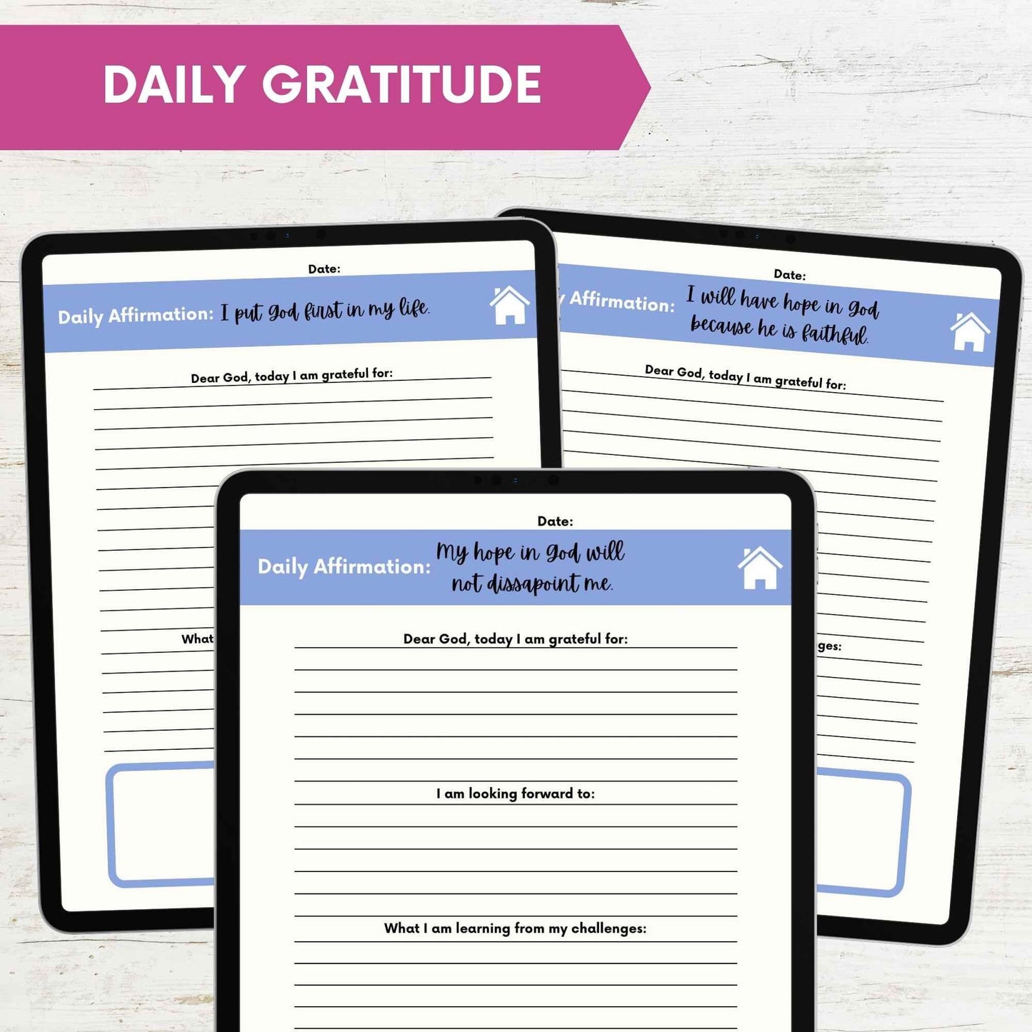 Simple Blue 100 Days of Gratitude Digital Goodnotes Journal for Ipad