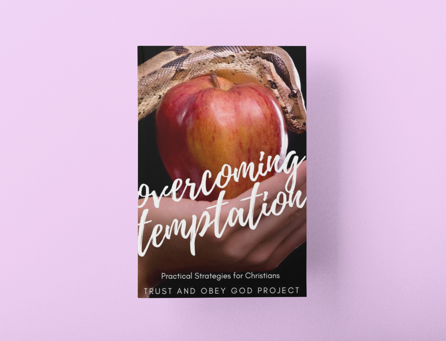 Overcoming Temptation: Practical Strategies for Christians