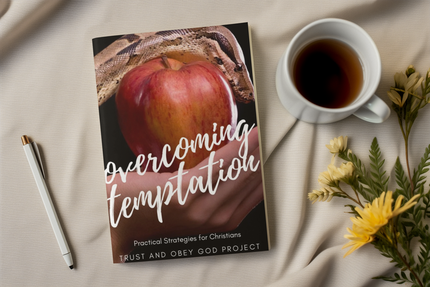 Overcoming Temptation: Practical Strategies for Christians