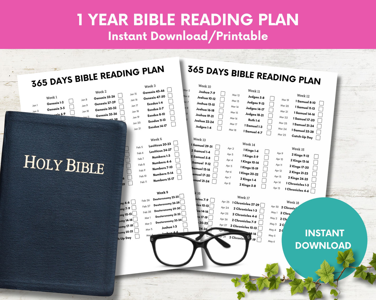 2026 Daily Bible Reading Plan:Read the Gospel in 1 Year