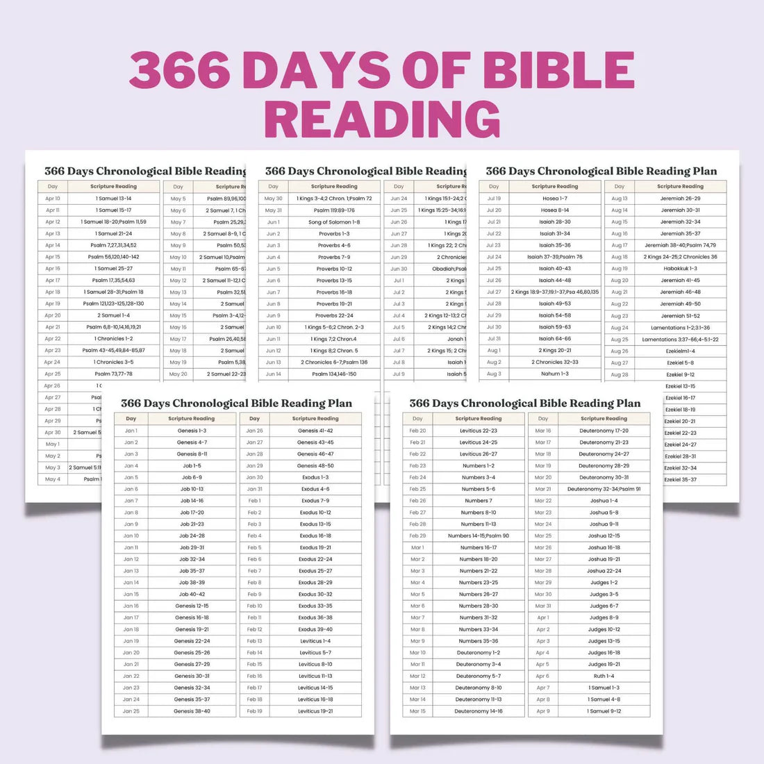 Printable 365/366 Days Chronological Bible Reading Plan