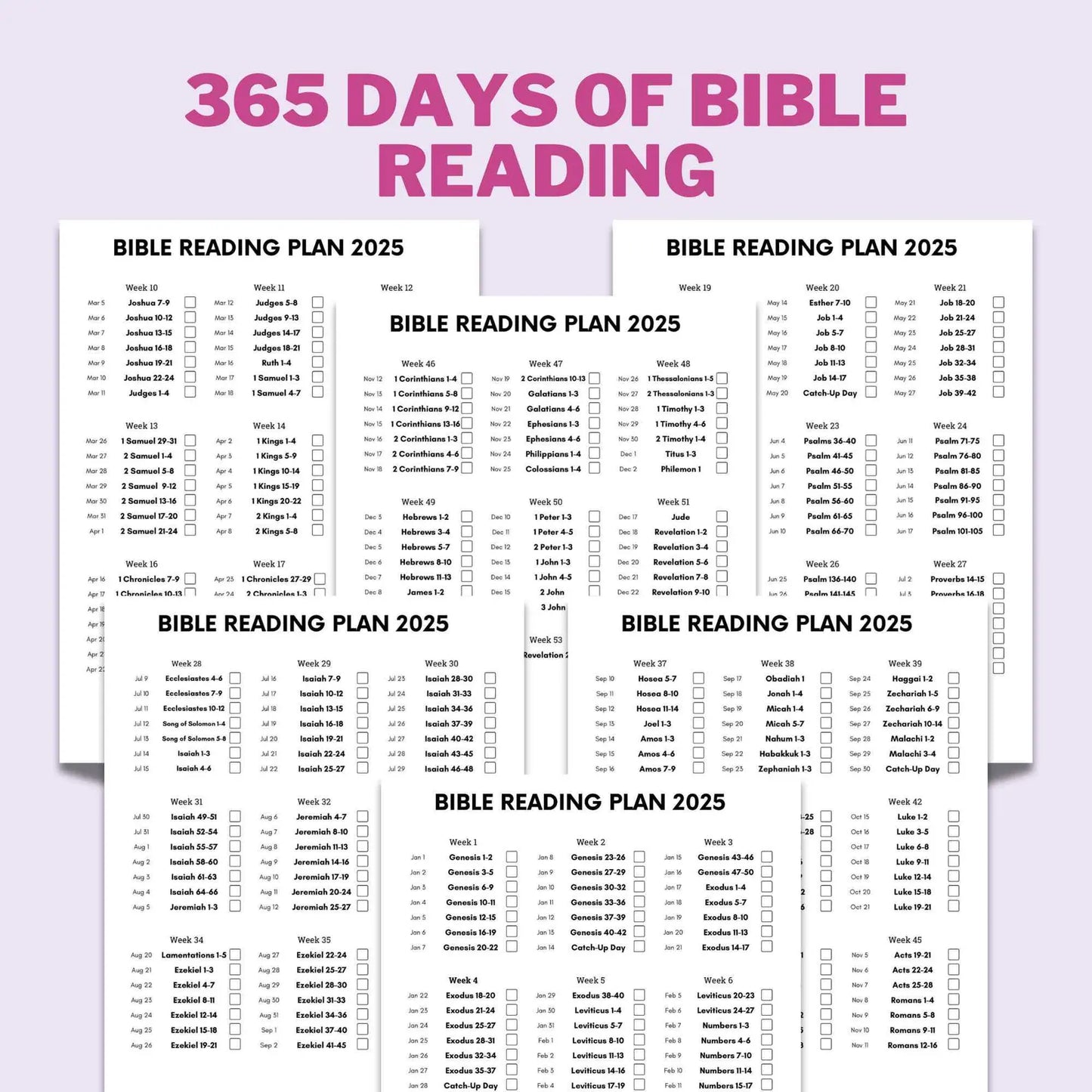 2025 Daily Bible Reading Plan:Read the Gospel in 1 Year