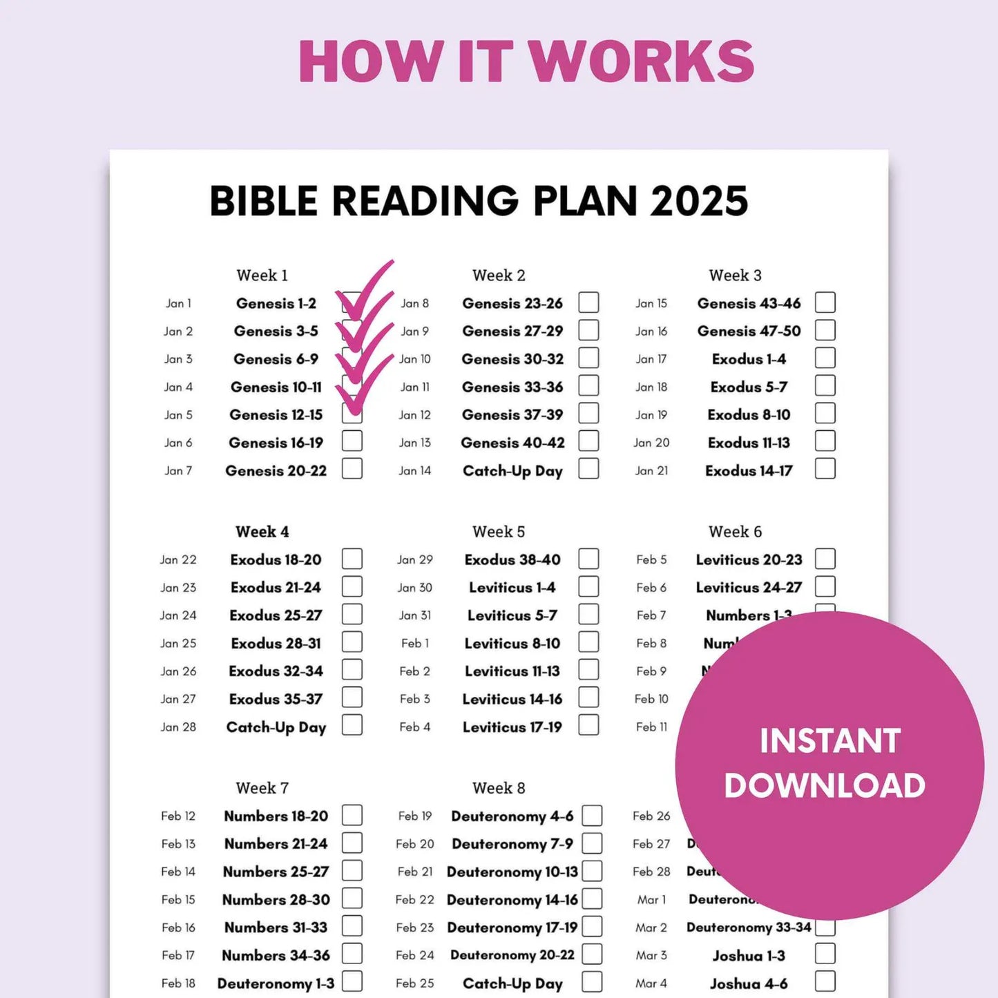 2025 Daily Bible Reading Plan:Read the Gospel in 1 Year